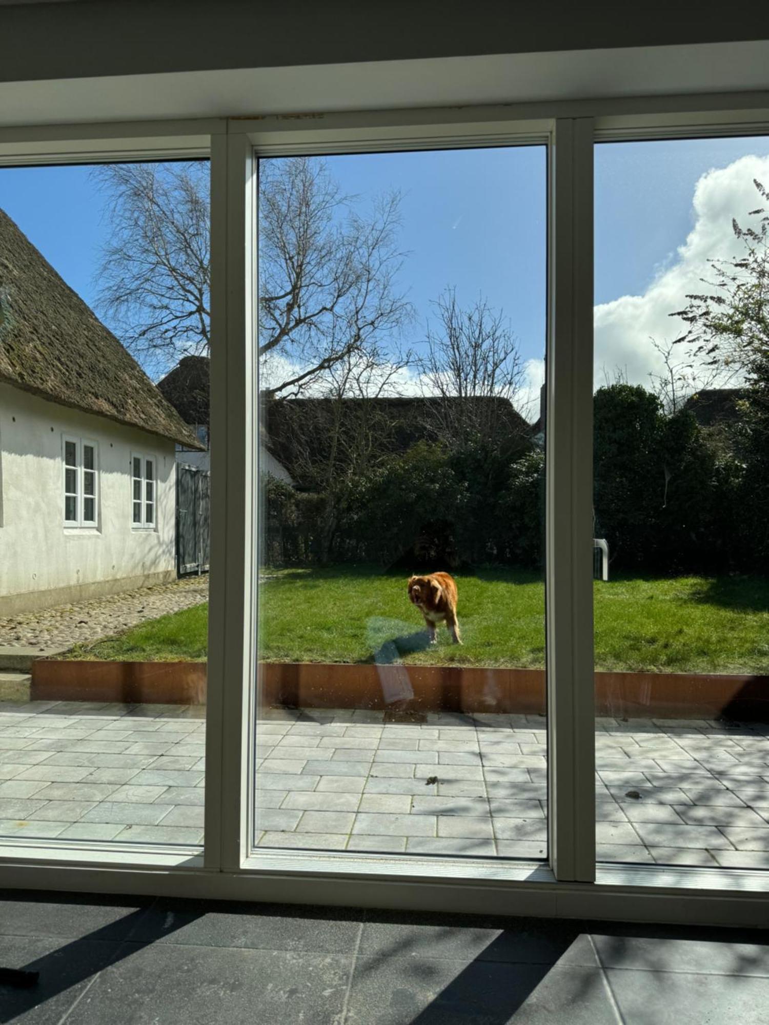 Kapitaenshaus Von 1712 - Neu Saniert Apartment Nieblum Bagian luar foto