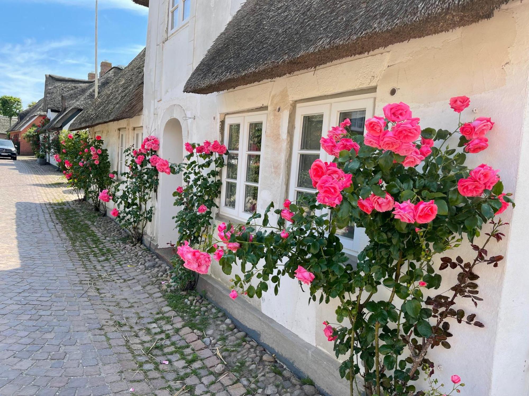 Kapitaenshaus Von 1712 - Neu Saniert Apartment Nieblum Bagian luar foto